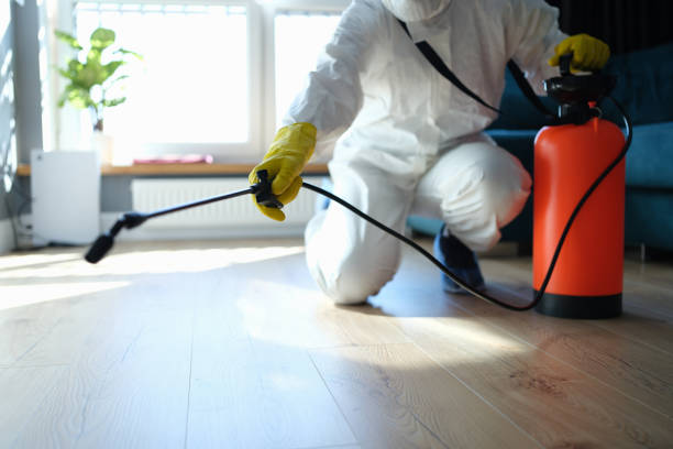 Reliable Sewage Cleanup contractor in Yerington, NV by Trauma Clean Pros
